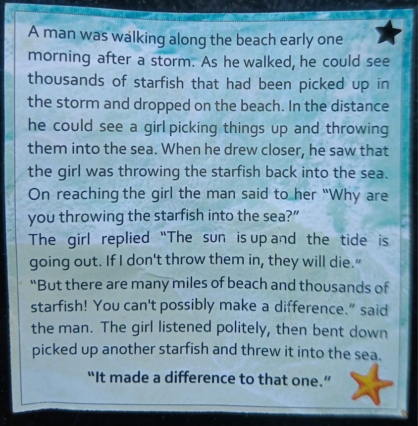 Starfish Story