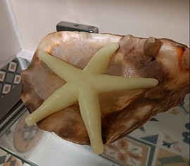 Vanilla scented Starfish Soap