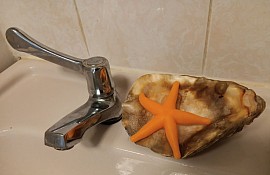 Orange Starfish Soap