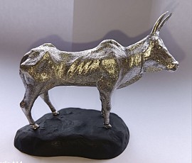 Zebu