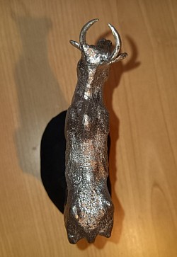 Zebu top