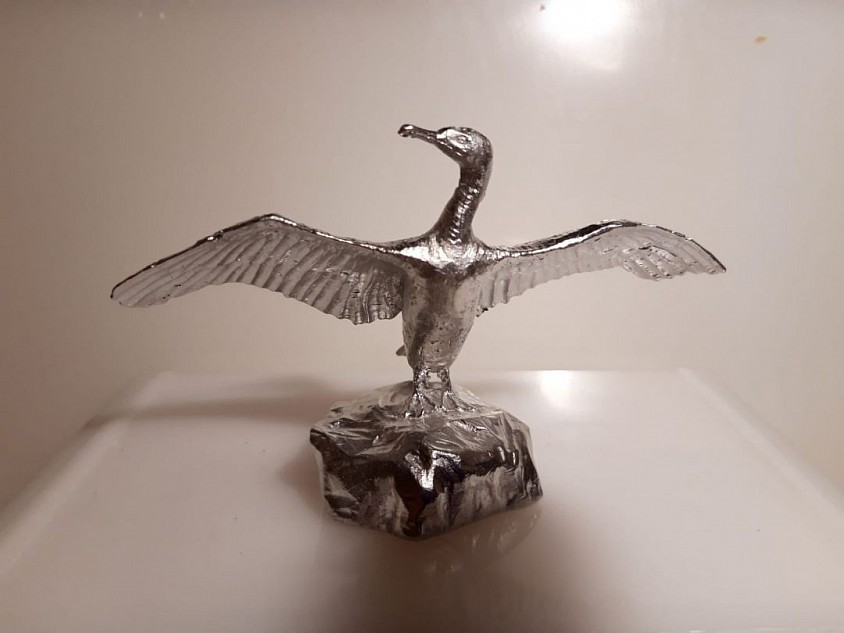 Pewter Cormorant